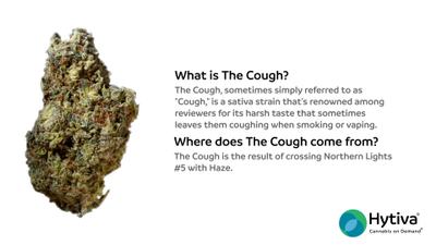 The Cough - Sativa Cannabis Strain