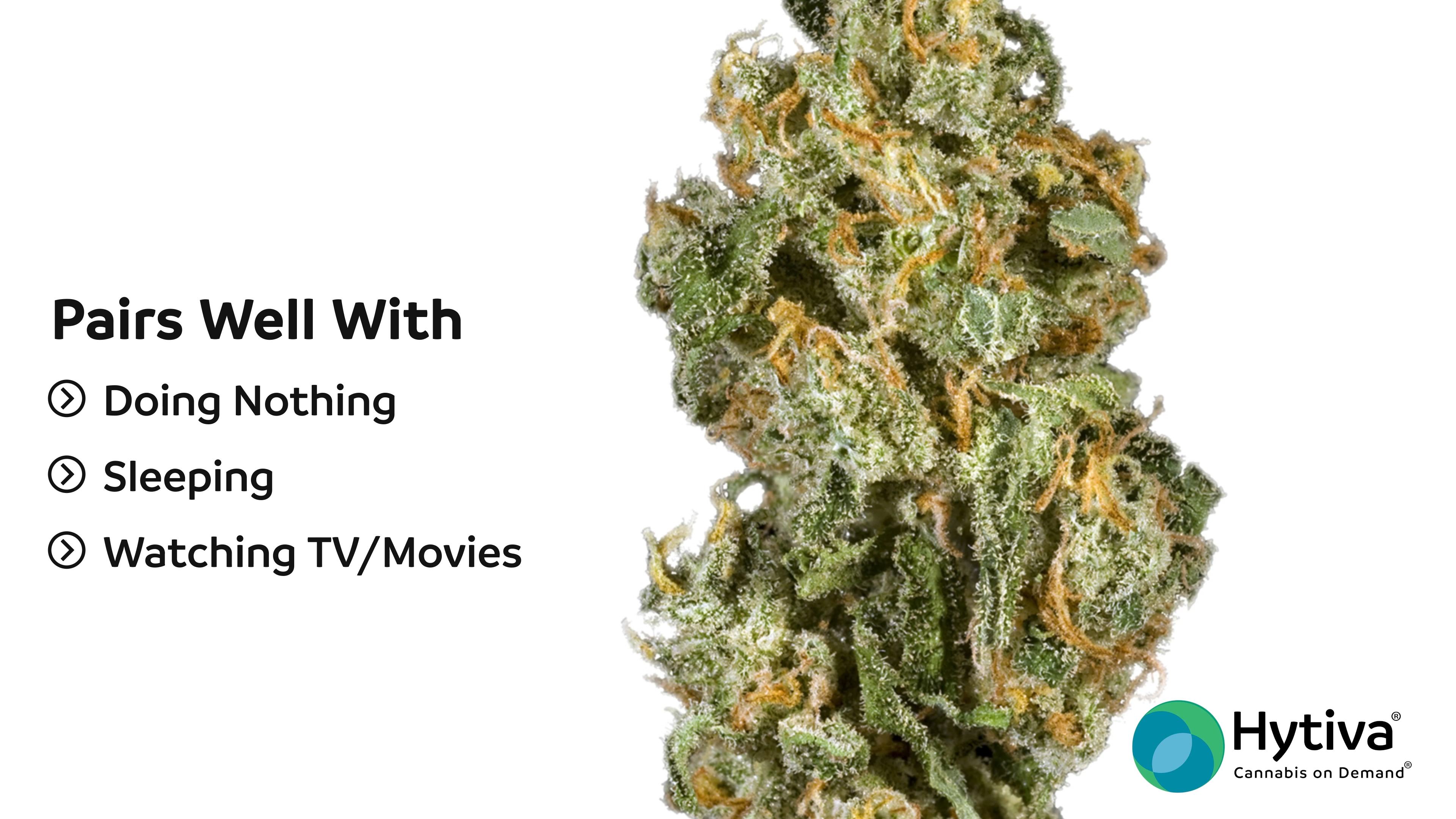 The Doctor Strain - Hybrid Cannabis Review : Hytiva