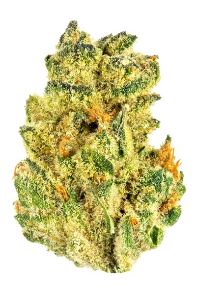 Matrix - Hybrid Cannabis Strain