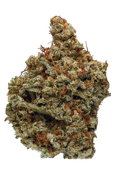 The One - Hybrid Cannabis Strain