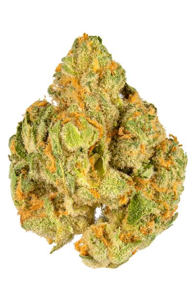 Snowman - Híbrida Cannabis Strain