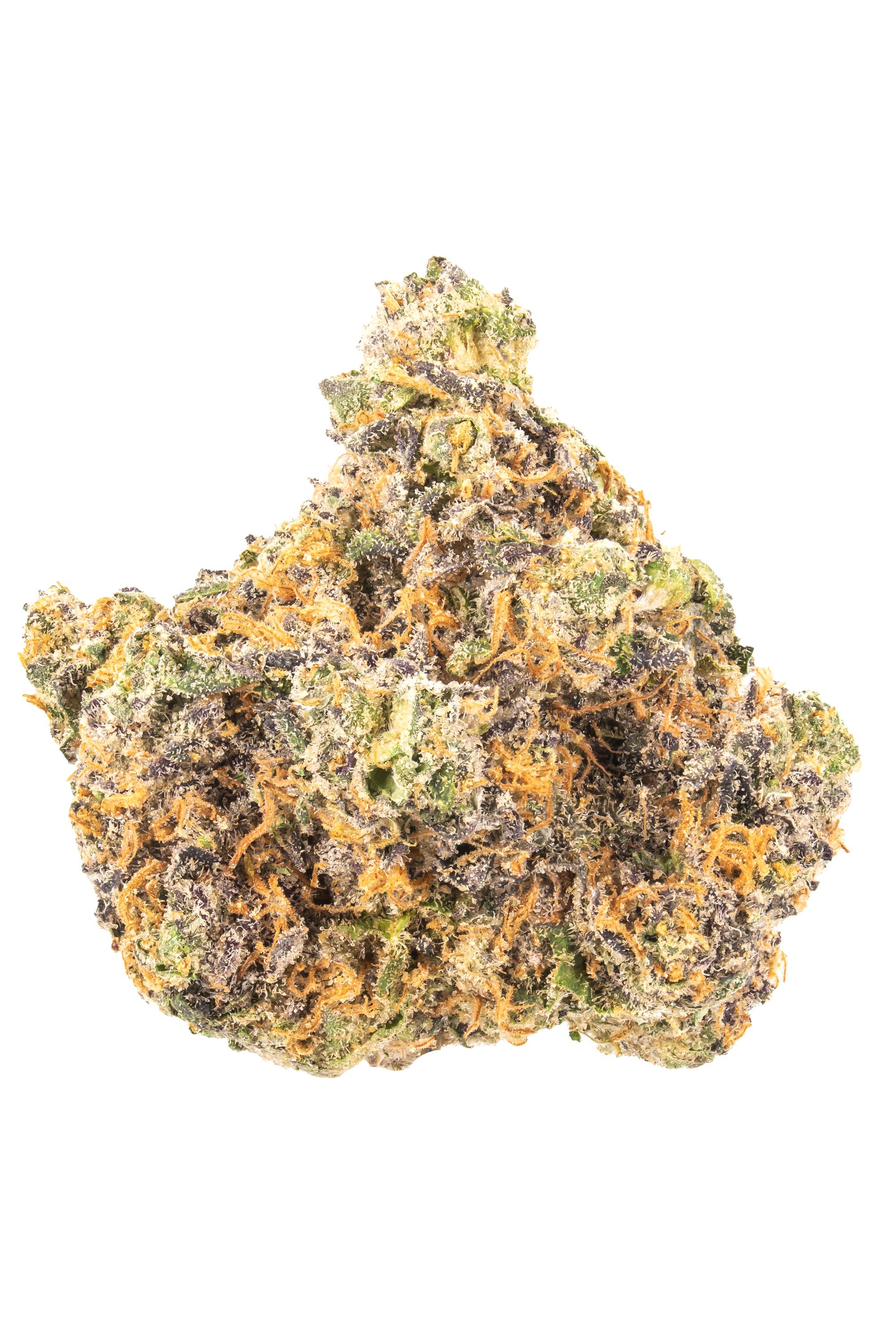 The Toad - Hybrid Cannabis Strain