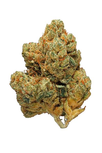 The Truth - Híbrido Cannabis Strain