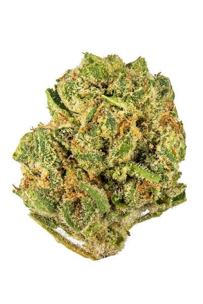 The White Star - Hybrid Cannabis Strain