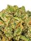 The White Star Hybrid Cannabis Strain Thumbnail