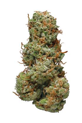 The Who - Hybrid Cannabis Strain