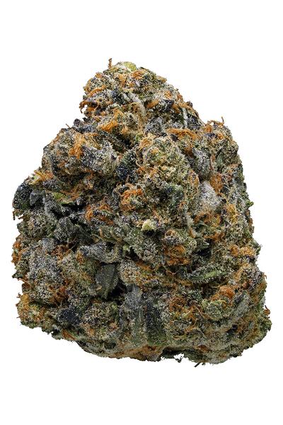 Thin Mint GSC - Гибрид Сорт каннабиса