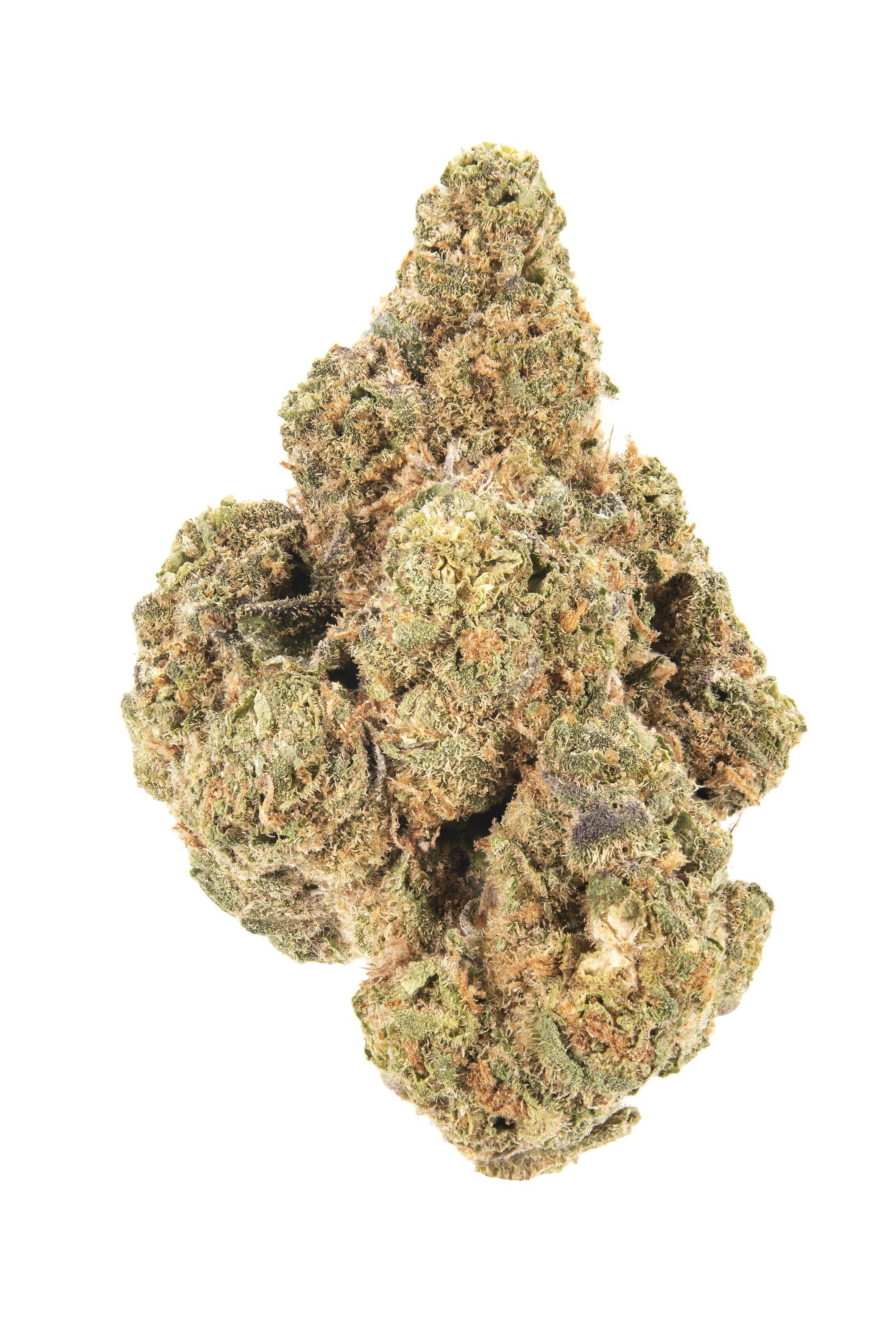 Thin Mintz Cannabis Strain Bud