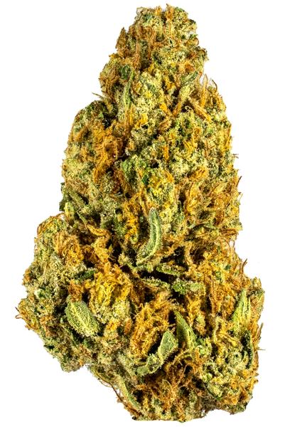 Thunder Wookie - 混合物 Cannabis Strain