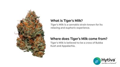 Tigers Milk - Indica Strain