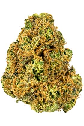 TKO - Hybrid Cannabis Strain