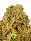 TKO Hybrid Cannabis Strain Thumbnail