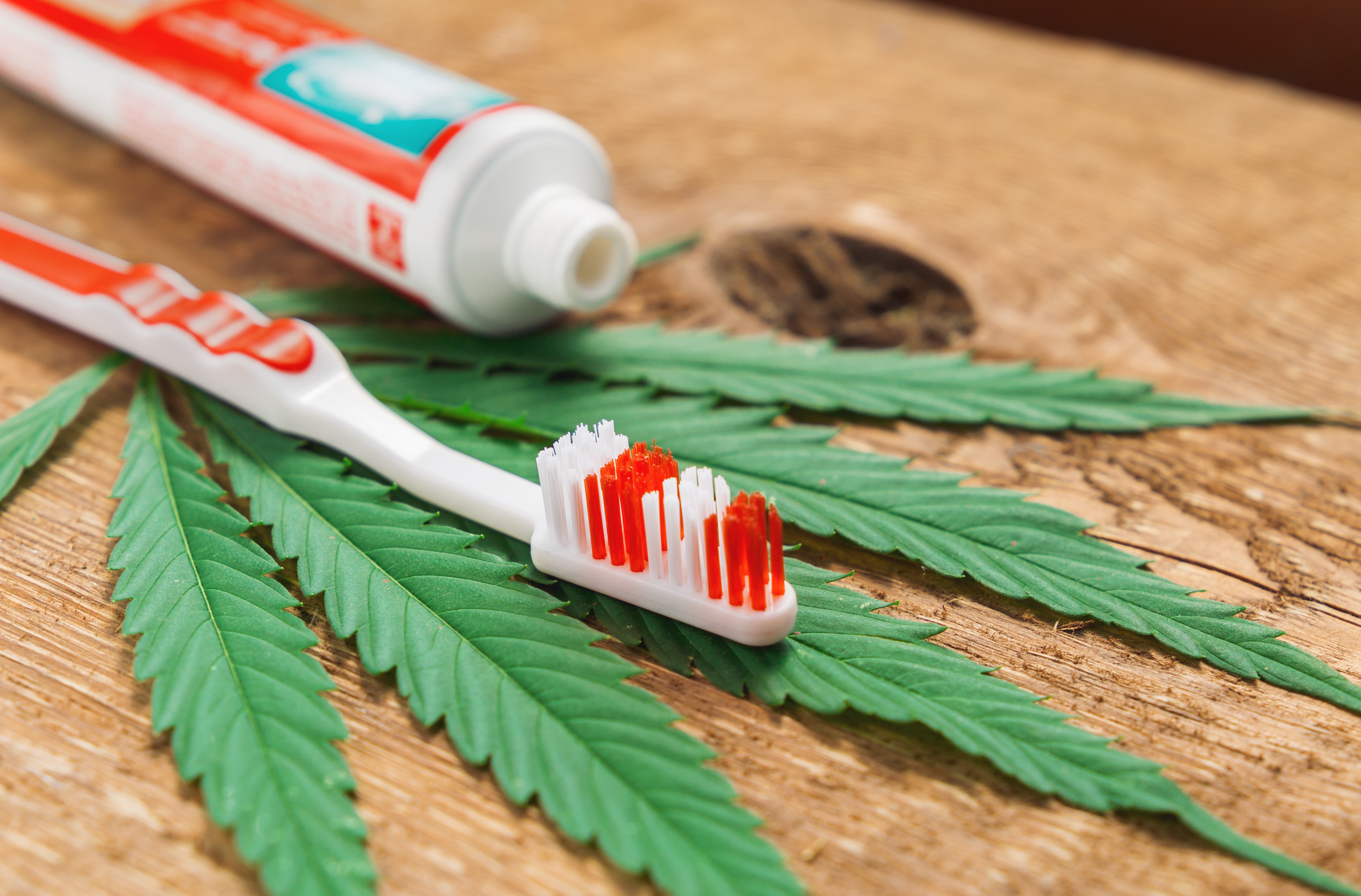 Cannabis and The Dentist: What to Know