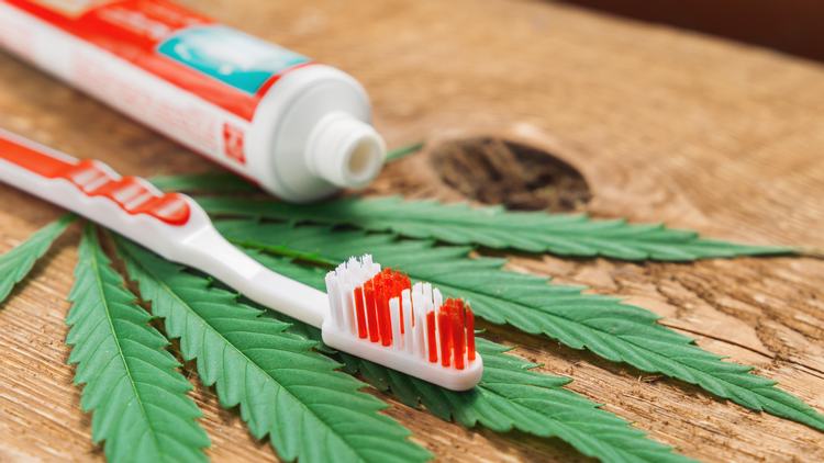 Cannabis and The Dentist: What to Know