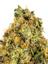 Topanga Cake Hybrid Cannabis Strain Thumbnail