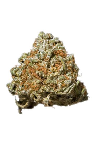 Tora Bora - Indica Cannabis Strain