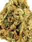 Toxic Cookies Hybrid Cannabis Strain Thumbnail