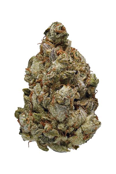 Toxic Punch - Híbrida Cannabis Strain