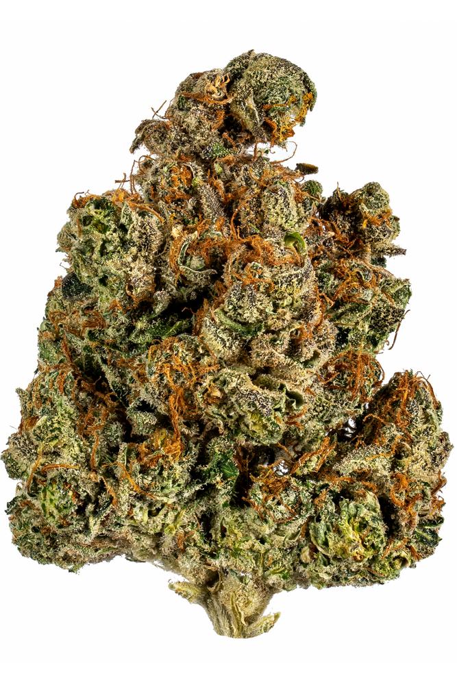 Trainwreck Strain - Hybrid Cannabis Review, THC, Terpenes : Hytiva