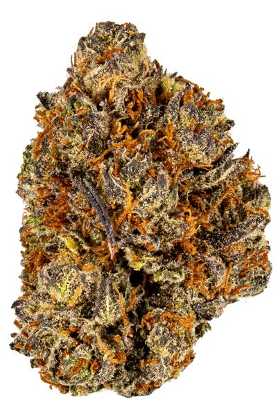 Trap Star - Hybrid Cannabis Strain