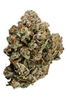 Tres Dawg - Híbrida Cannabis Strain