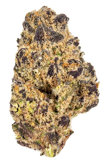 Trifi - Hybrid Cannabis Strain