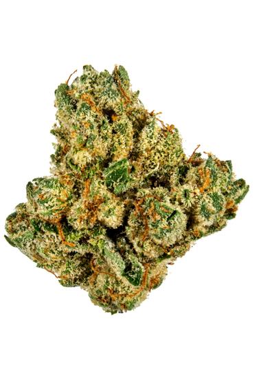 Triangle Mints - Hybrid Cannabis Strain