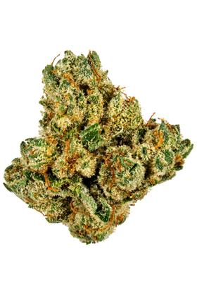 Triangle Mints - Hybrid Cannabis Strain