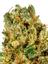 Triangle Mints Hybrid Cannabis Strain Thumbnail