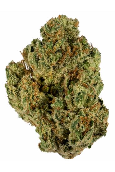 Triple G - Hybrid Cannabis Strain
