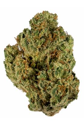 Triple G - 混合物 Cannabis Strain