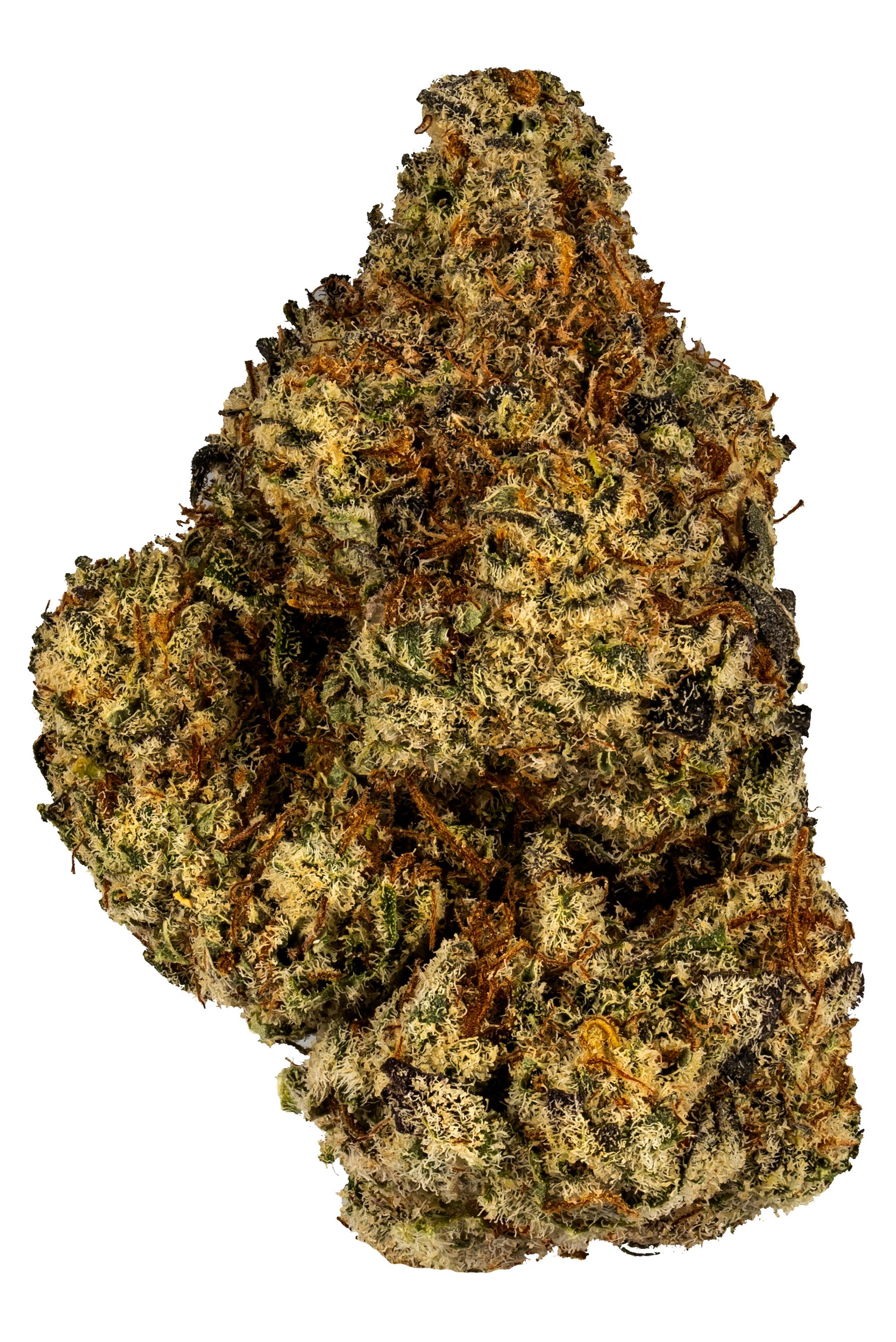 Triple OG - Hybrid Cannabis Strain