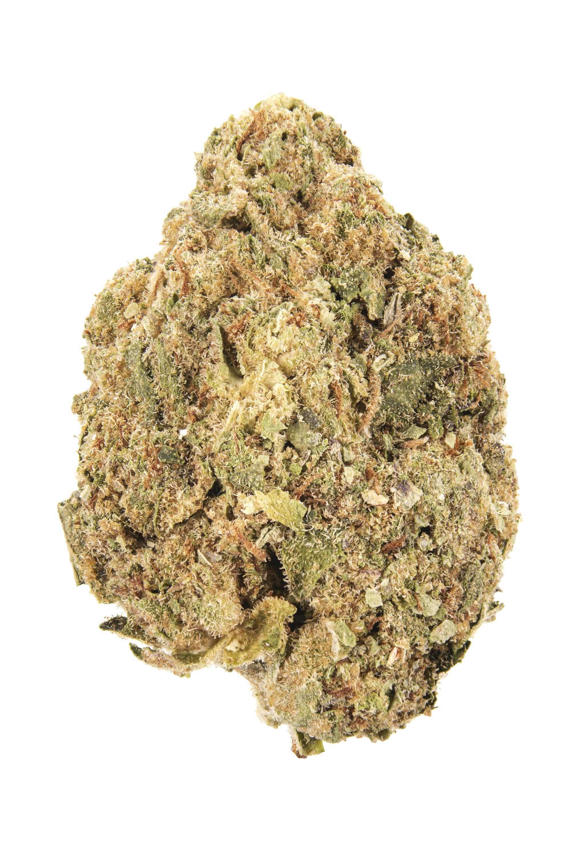 Tropical Storm Cannabis Strain Bud