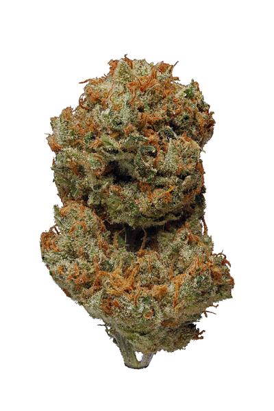 Tropicali - Híbrida Cannabis Strain