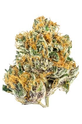 Tropicana Punch - 混合物 Cannabis Strain