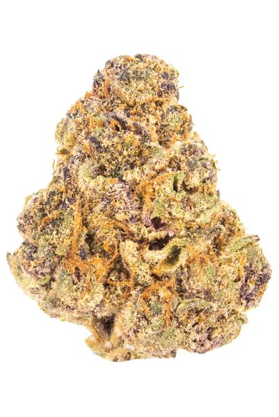 Tropicana Sherb - Hybrid Cannabis Strain
