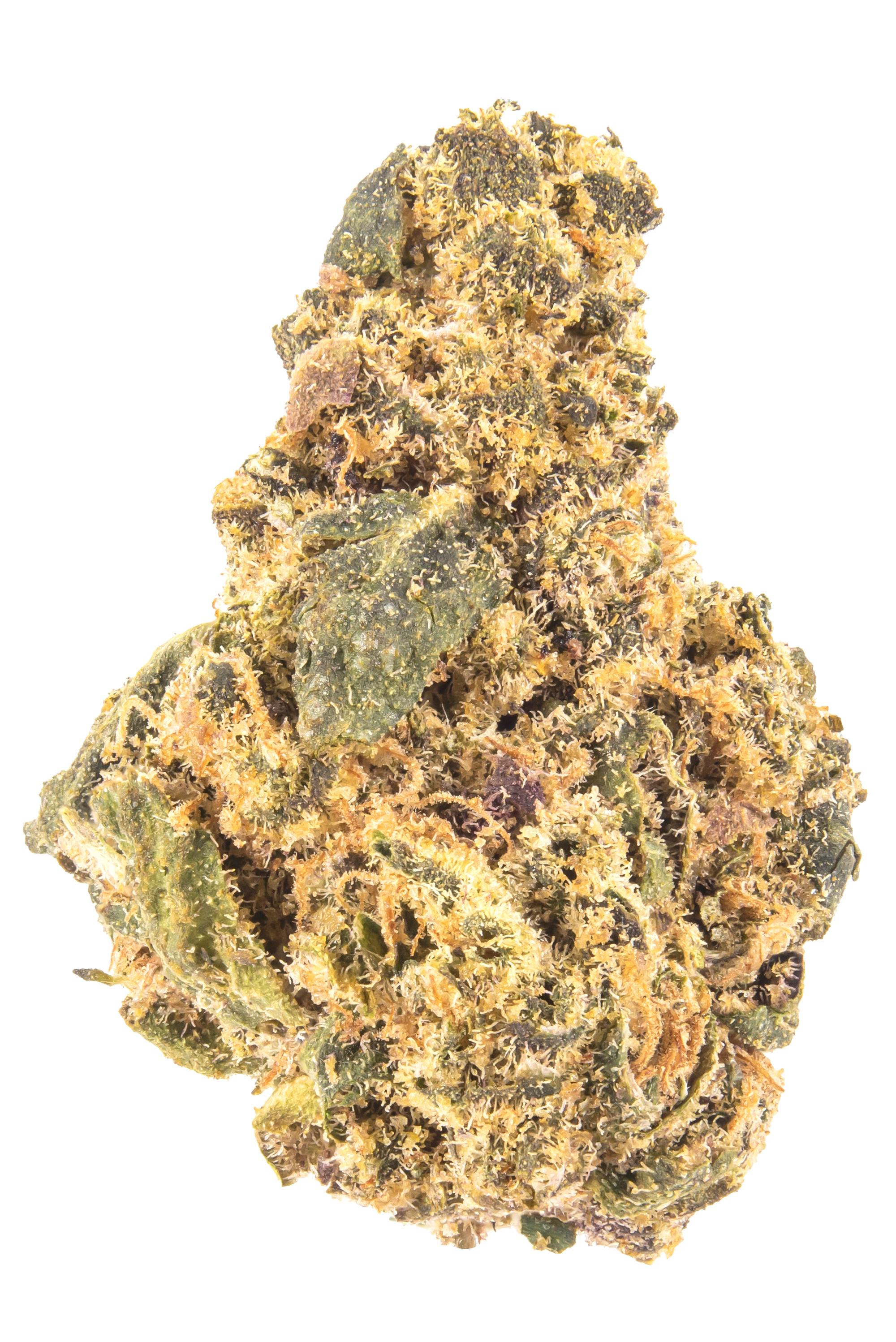 True Mints - Hybrid Cannabis Strain