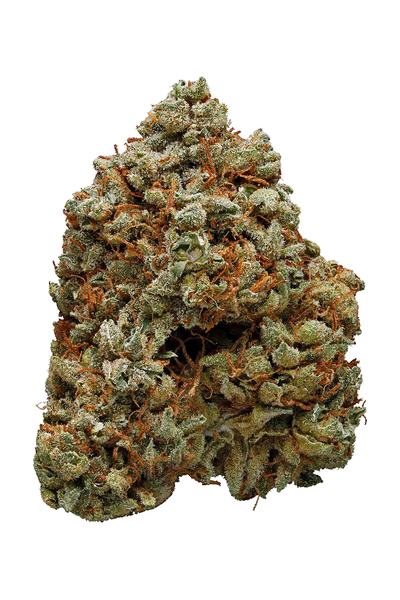 Trump OG - Hybrid Cannabis Strain