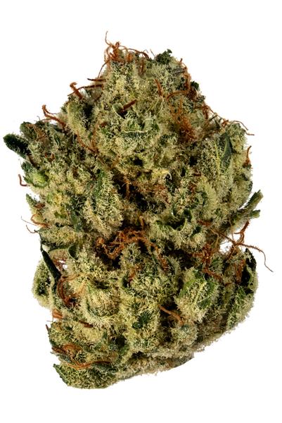 Truth Serum - Hybrid Cannabis Strain