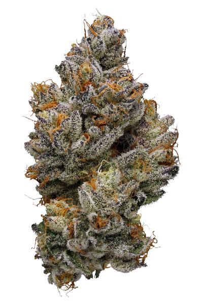 Tuna Kush - Hybrid Cannabis Strain