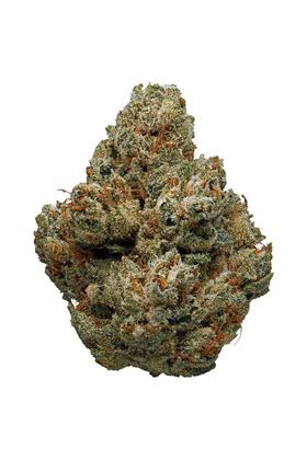 Tupac OG - Hybride Cannabis Strain