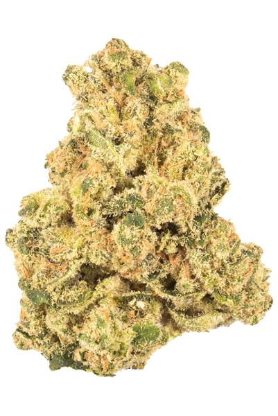 TWHD4 - Hybride Cannabis Strain