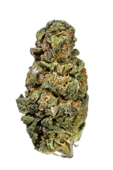 Twista - Sativa Cannabis Strain
