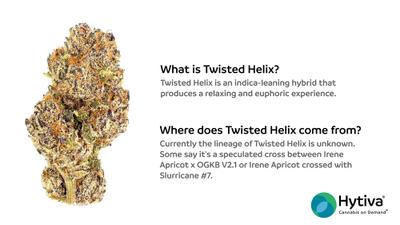 Twisted Helix - Hybrid Strain