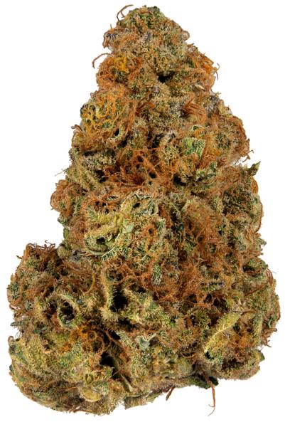 Ultimate Indica - Indica Cannabis Strain