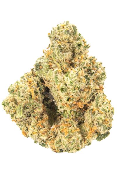 Uppercut - Hybride Cannabis Strain