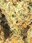 Uppercut Hybrid Cannabis Strain Thumbnail