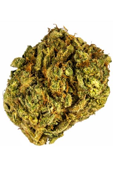 Vader Kush - Hybrid Cannabis Strain