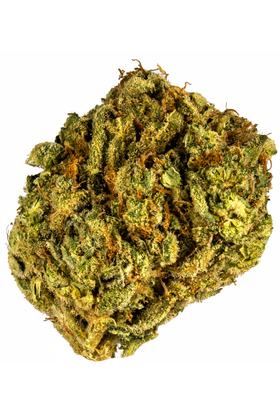 Vader Kush - Híbrida Cannabis Strain