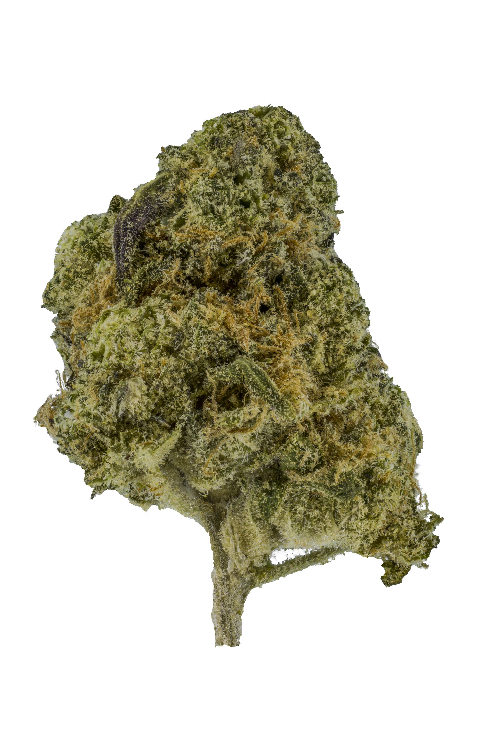 Valley Haze - Hybrid Cannabis Strain